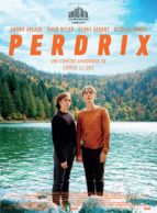 Affiche du film PERDRIX
