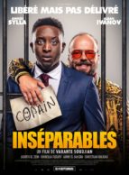 Affiche du film INSÉPARABLES