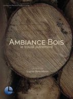 Affiche du film AMBIANCE BOIS, LE TRAVAIL AUTREMENT