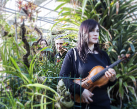 Image programmation reporté 》Wolfang Amadeus Mozart