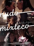 Affiche du film NUDO MIXTECO : TROIS DESTINS DE FEMMES