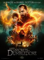 Affiche du film LES ANIMAUX FANTASTIQUES : LES SECRETS DE DUMBLEDORE