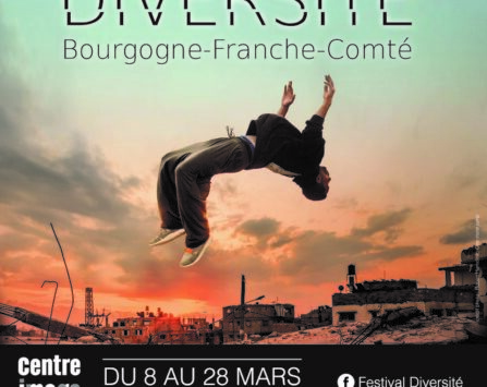 Image programmation Festival Diversité