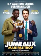Affiche du film JUMEAUX MAIS PAS TROP
