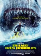 Affiche du film EN EAUX TRES TROUBLES