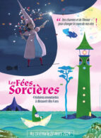 Affiche du film LES FÉES SORCIÈRES
