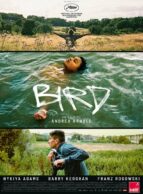 Affiche du film BIRD