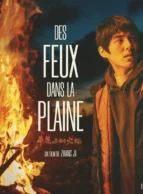 Affiche du film DES FEUX DANS LA PLAINE