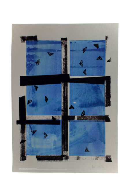 Nature in solidum (pyrales, bleu)