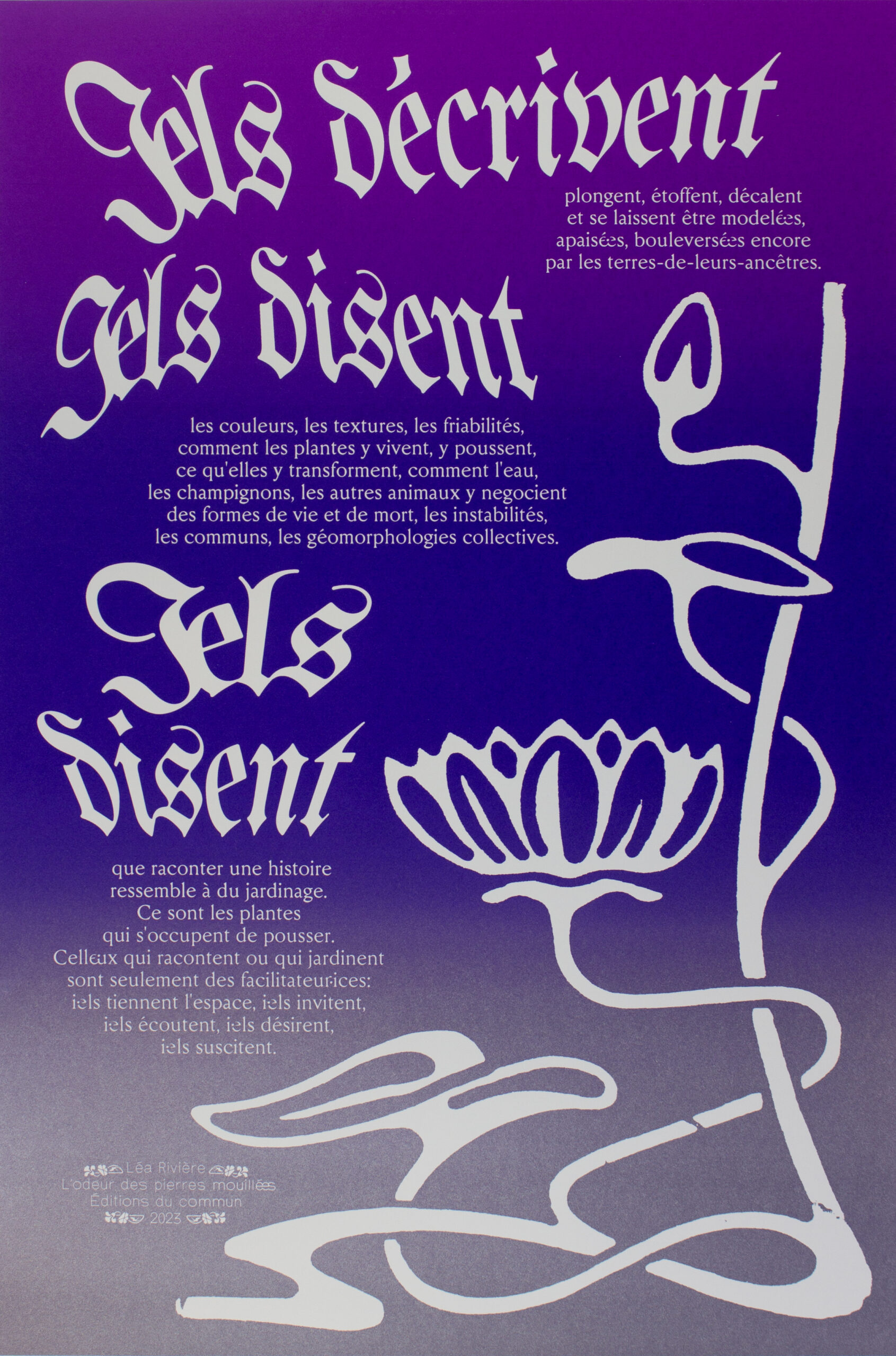 Affiche "Iels décrivent, iels disent"