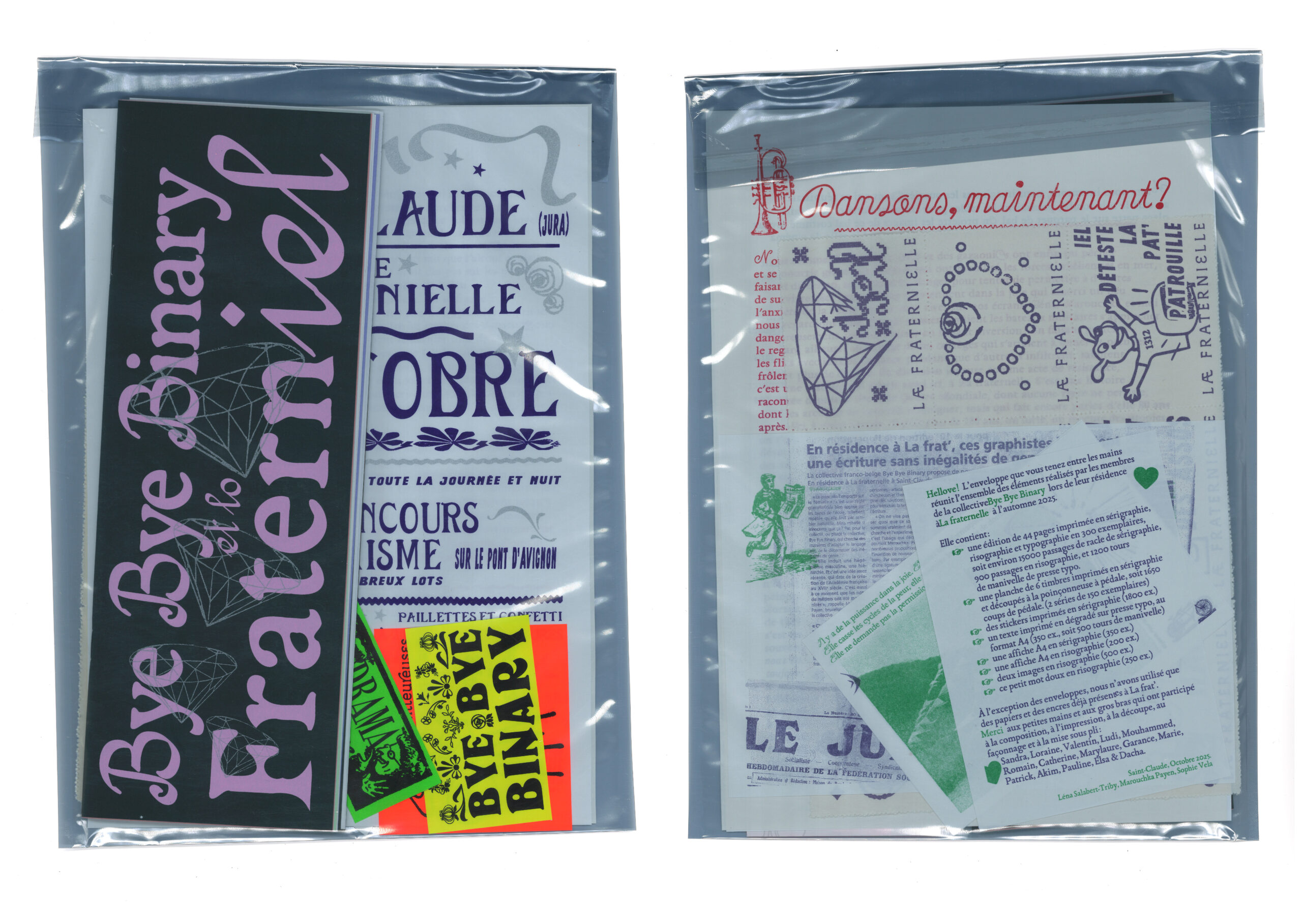 Bye Bye Binary et lo fraterniel – Image 2