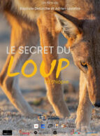 Affiche du film LE SECRET DU LOUP D'ÉTHIOPIE