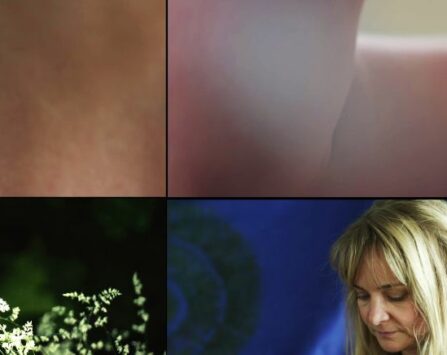 Image programmation Ciné-rencontre 》EX UTERO