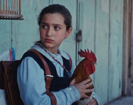 Image programmation Festival 》TÉLÉRAMA