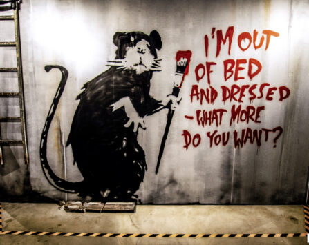 Image programmation Cycle Portraits 》FACE À FACE