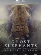 Affiche du film GHOST ELEPHANTS