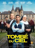 Affiche du film TOMBÉ DU CIEL